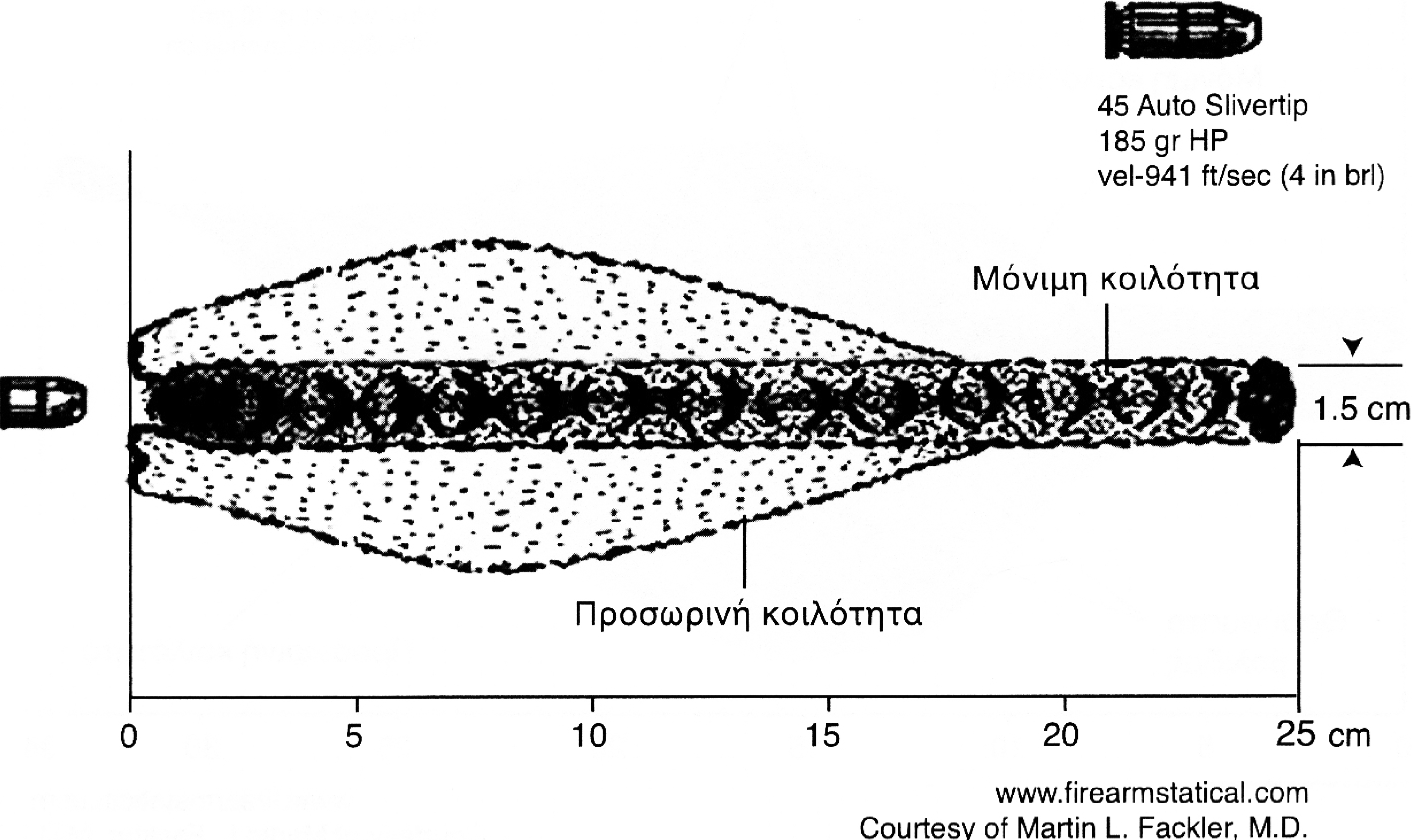 Wundballistik (Wound Ballistics)